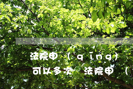 法院申請(qǐng)調(diào)查令可以多次嗎(法院申請(qǐng)調(diào)查令可以多次嗎)