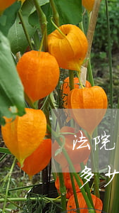 法院申請(qǐng)離婚費(fèi)用多少(向人民法院提出離婚訴訟需要多少錢(qián))