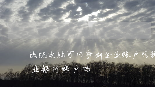 法院电脑可以查到企业账户吗(税局能查到企业银行账户吗)