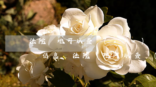 法院異地可以查詢(xún)車(chē)輛信息嗎(法院異地可以查詢(xún)車(chē)輛信息嗎)
