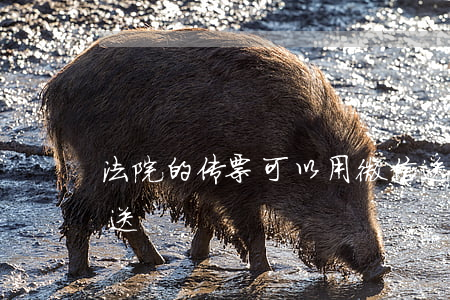法院的传票可以用微信送达吗(法院传票怎么送)