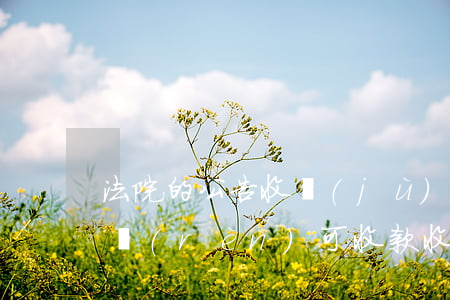 法院的公告收據(jù)可以入賬嗎(法院會認(rèn)可收款收據(jù)嗎)