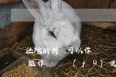 法院的判決可以作為證據(jù)嗎(判決書能作為證據(jù)使用嗎)