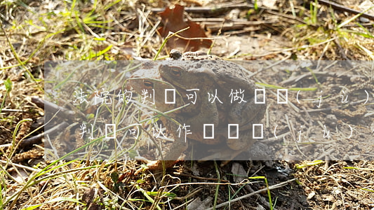 法院的判決可以做證據(jù)使用嗎(法院判決可以作為證據(jù)使用嗎)