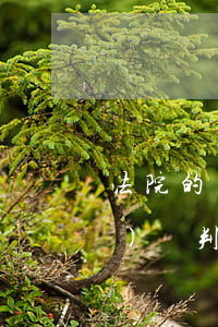 法院的判決可以當(dāng)證據(jù)嗎(判決書認(rèn)定的事實能作為證據(jù)嗎)