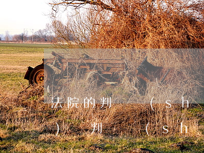 法院的判決書(shū)可以公開(kāi)嗎(判決書(shū)必須公開(kāi)嗎)