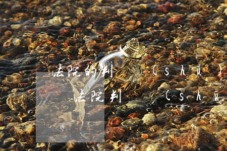 法院的判決書(shū)可以復(fù)印嗎(法院判決書(shū)可以打印嗎)