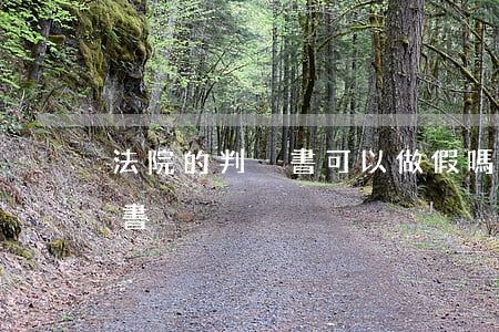 法院的判決書可以做假嗎(哪里可以做假判決書)