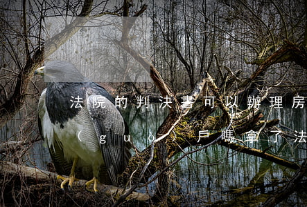 法院的判決書可以辦理房產(chǎn)過(guò)戶嗎(拿了法院判決書過(guò)戶房產(chǎn)還要什么手續(xù))