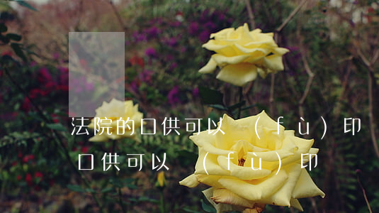 法院的口供可以復(fù)印嗎(派出所錄的口供可以復(fù)印嗎)