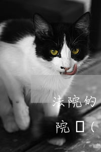 法院的執(zhí)行通知書可以撤銷嗎(法院執(zhí)行裁定書可以撤銷嗎)