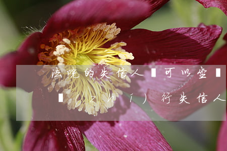 法院的失信人員可以坐飛機(jī)嗎(法院執(zhí)行失信人怎么可以坐飛機(jī))