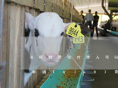 法院的委托代理人可以是前夫嗎(怎么向法院申請(qǐng)委托代理人)