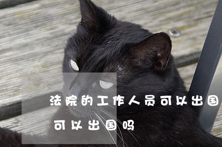 法院的工作人员可以出国吗(被法院起诉的人可以出国吗)