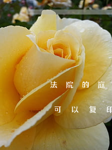 法院的庭审笔录可以复印吗(法院的庭审笔录可以复印吗)
