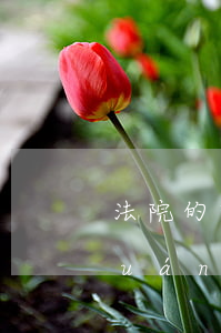 法院的快遞可以代收嗎(快遞代收點有權(quán)利簽收快遞嗎)