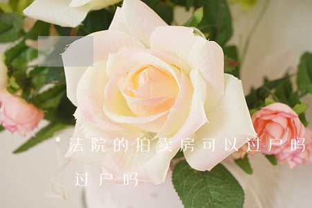 法院的拍卖房可以过户吗(法院的拍卖房可以过户吗)