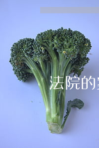 法院的案宗原告可以復(fù)印嗎