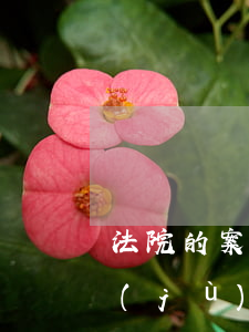 法院的案款收據(jù)怎么做賬(欠賬收據(jù)怎么寫 樣本)