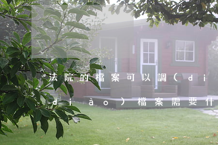 法院的檔案可以調(diào)嗎(法院調(diào)檔案需要什么手續(xù))