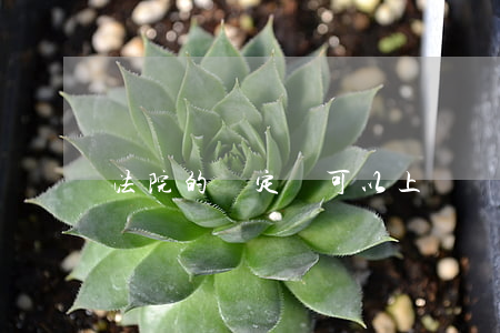 法院的決定書可以上訴嗎(裁定書能上訴嗎)