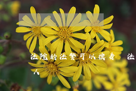 法院的法警可以搜身嗎(法院出警車要捕什么人)