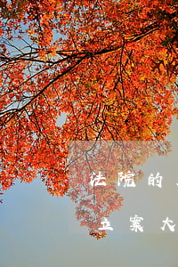 法院的立案大廳可以交證據(jù)嗎(法院立案大廳可以錄像)