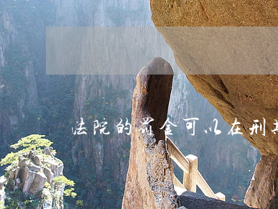 法院的罚金可以在刑期满后交吗