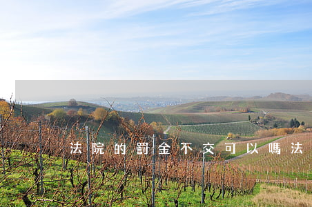 法院的罰金不交可以嗎(法院罰金沒交)