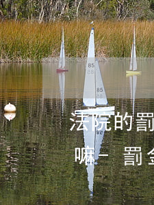 法院的罰金逾期未交會(huì)有滯納金嘛-罰金逾期未交有滯納金嗎