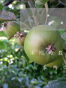 法院的裁决书可以税前扣除吗(法院诉讼费可以在所得税前扣除吗)