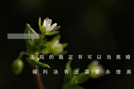 法院的裁定书可以当离婚证吗(有了法院的离婚判决书还需要办理离婚证吗)