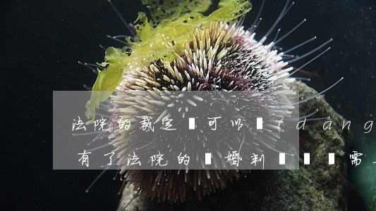 法院的裁定書可以當(dāng)離婚證嗎(有了法院的離婚判決書還需要辦理離婚證嗎)