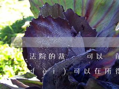 法院的裁決書可以稅前扣除嗎(法院訴訟費(fèi)可以在所得稅前扣除嗎)