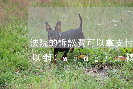 法院的訴訟費可以拿支付寶轉賬嗎(訴訟費可以網(wǎng)上轉賬嗎)