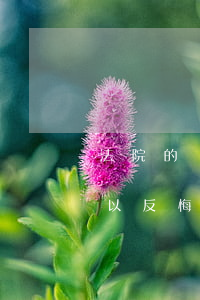 法院的調(diào)解協(xié)議可以反悔嗎(在法院調(diào)解下達(dá)成協(xié)議后反悔了怎么辦)
