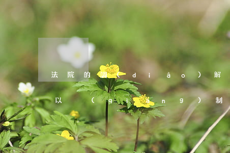 法院的調(diào)解協(xié)議可以強(qiáng)制執(zhí)行嗎(司法確認(rèn)的調(diào)解協(xié)議可以強(qiáng)制執(zhí)行嗎)