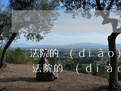 法院的調(diào)解書可以過戶車輛嗎(法院的調(diào)解書可以過戶車輛嗎)