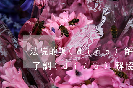 法院的調(diào)解書還可以訴訟嗎(簽了調(diào)解協(xié)議書還能起訴嗎)