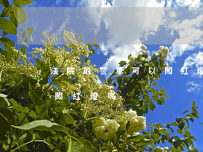 法院的警車可以闖紅燈嗎(警車開著警燈可以闖紅燈嗎)