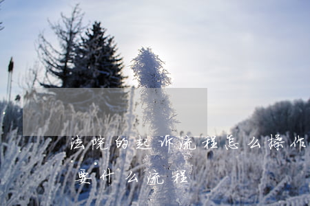 法院的起诉流程怎么操作(如果去法院起诉,需要什么流程)