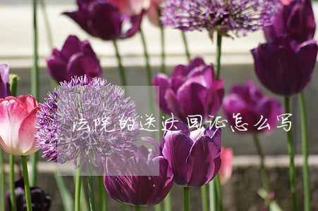 法院的送达回证怎么写