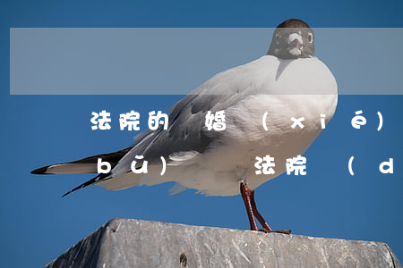 法院的離婚協(xié)議書丟了可以補(bǔ)辦嗎(法院調(diào)解的離婚協(xié)議書丟了怎么申請(qǐng)補(bǔ)回)