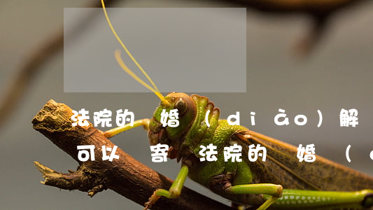 法院的離婚調(diào)解書(shū)可以郵寄嗎(法院的離婚調(diào)解書(shū)有法律效力嗎)