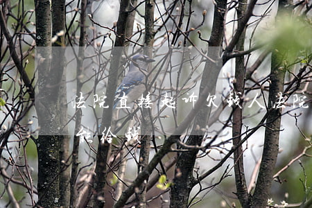 法院直接起诉欠钱人(法院起诉欠钱人,多少天能给钱)