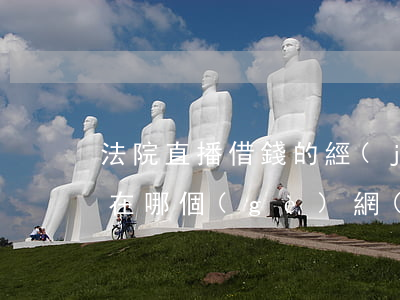 法院直播借錢的經(jīng)歷 法院直播在哪個(gè)網(wǎng)上能看到
