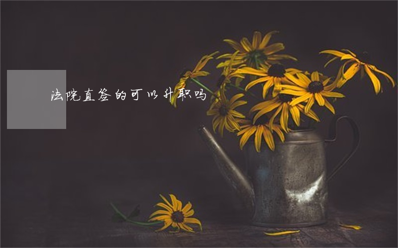法院直签的可以升职吗