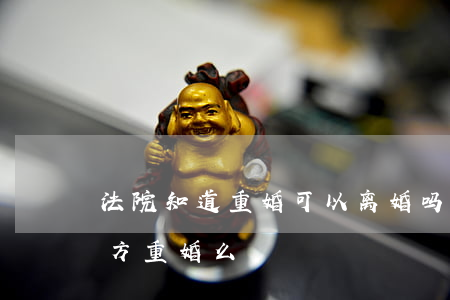 法院知道重婚可以离婚吗(离婚后还能起诉对方重婚么)