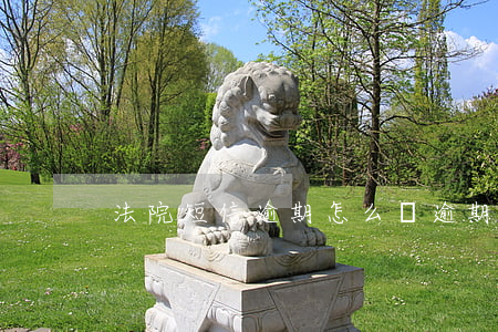 法院短信逾期怎么辦(逾期審理短信)