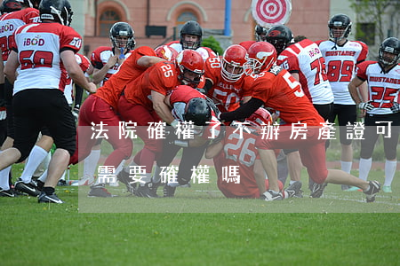 法院確權了不辦房產證可以嗎(有不動產證還需要確權嗎)